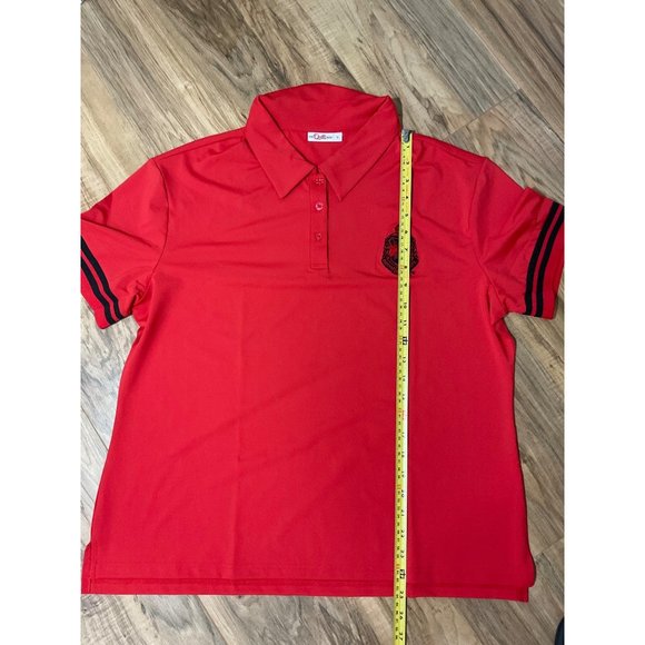 NWB Delta Sigma Theta Polo Shirt and Skirt set Size: X Large - Picture 11 of 13